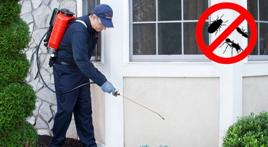 Boğazkale Pire İlaçlama böcek ilaçlama ve haşere kontrolü — ilaclama-tr.com